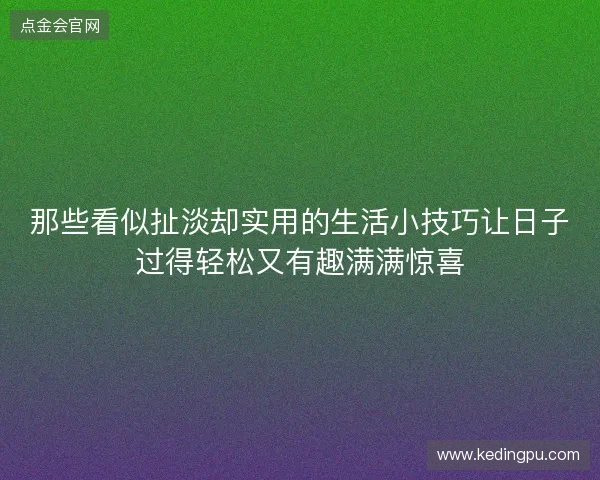 那些看似扯淡却实用的生活小技巧让日子过得轻松又有趣满满惊喜